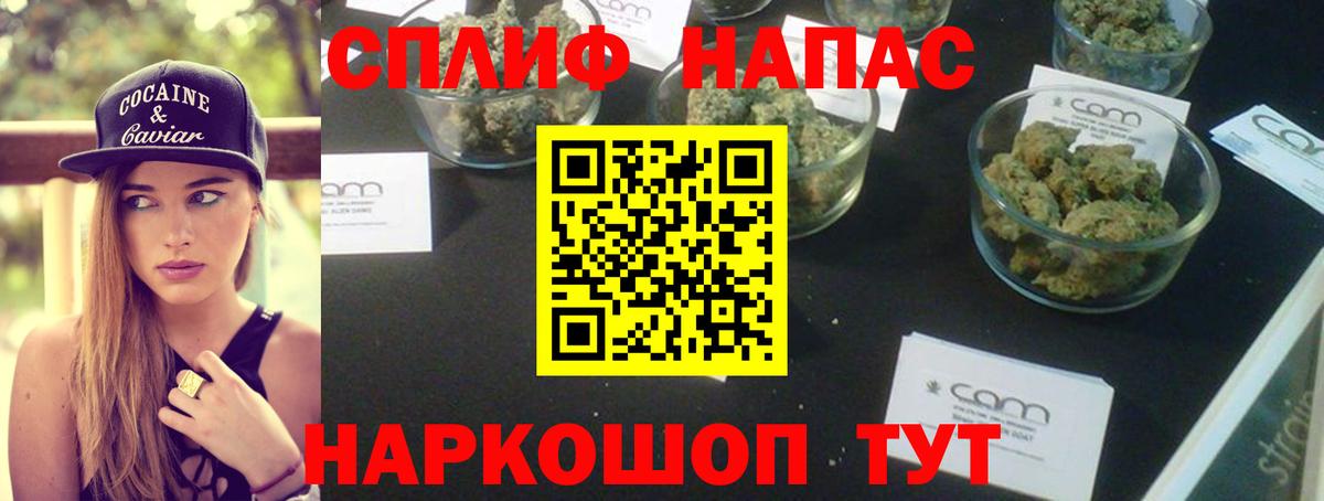 Шишки марихуана семена Ленинск-Кузнецкий